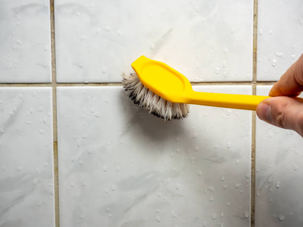 Best Mold Removal and Inspection  in Prairie City, IA