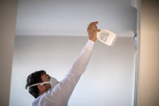Best Same-Day Mold Removal  in Prairie City, IA
