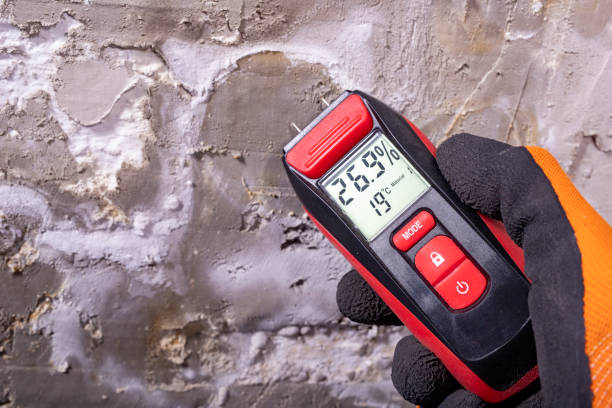 Best Commercial Mold Removal  in Prairie City, IA